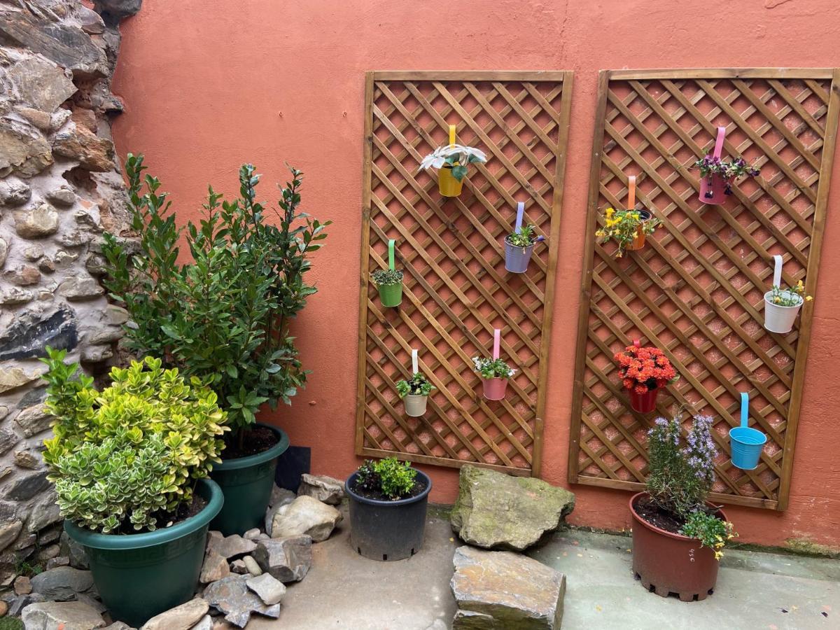Hostal Casa San Nicolas Молинасека Экстерьер фото